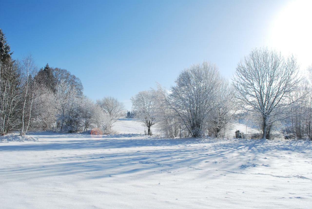 Pokojíky na Větrné Malsin Exteriér fotografie